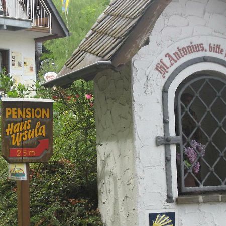 Pension Haus Ursula 科布倫茨 外观 照片