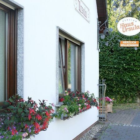 Pension Haus Ursula 科布倫茨 外观 照片