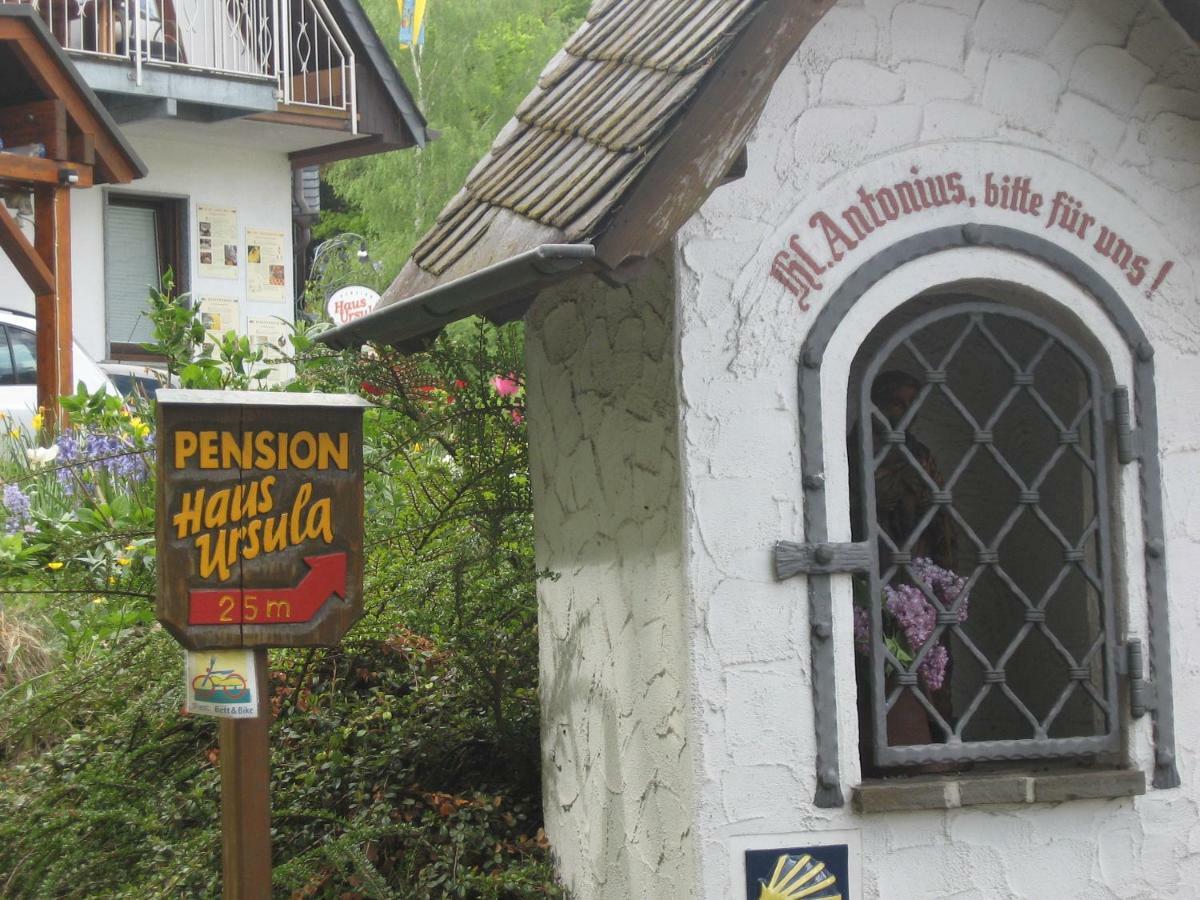 Pension Haus Ursula 科布倫茨 外观 照片